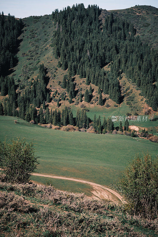 俯视图展示了吉尔吉斯斯坦天山的牧场