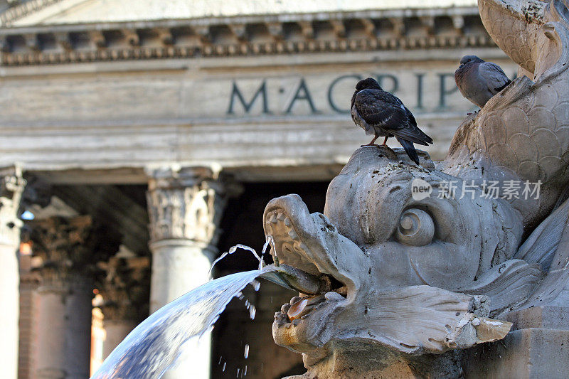 罗马的喷泉
