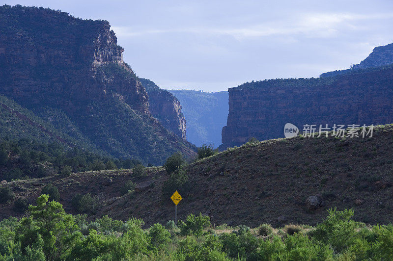 西南沙漠黄牛看门标志和峡谷景区