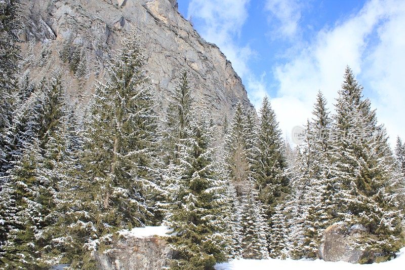 意大利Dolomites的冬天