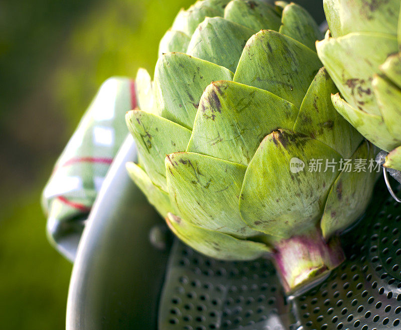 蒸锅煮洋蓟，新鲜食物和春天的青菜