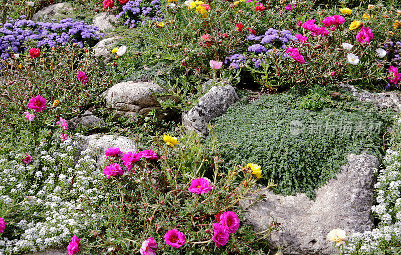 岩石和花卉花园创造宁静的景象