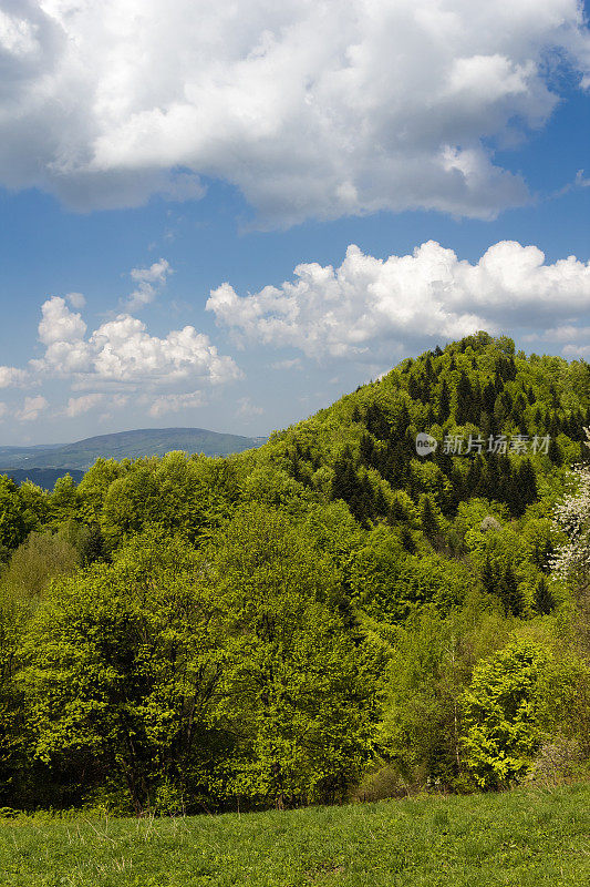 五月的山景。Beskid,波兰。