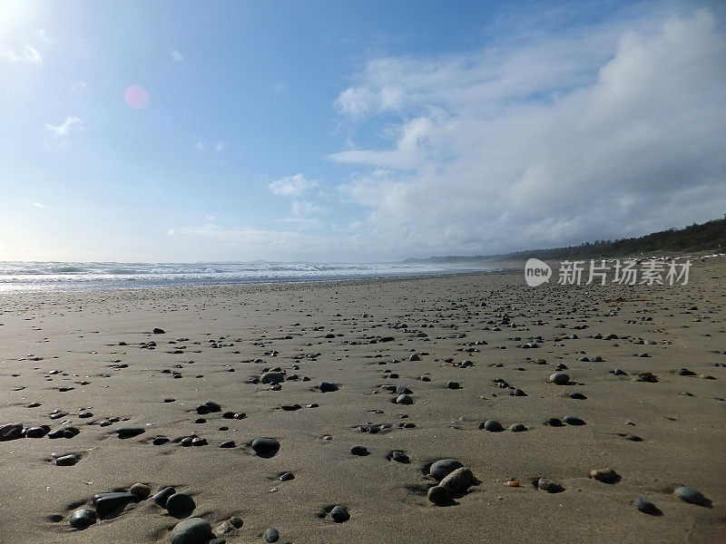 沙滩上有许多鹅卵石