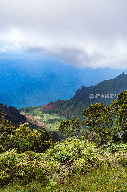 卡拉劳观景台在科克埃州立公园-考艾岛，夏威夷