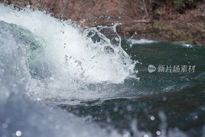 纯泼水