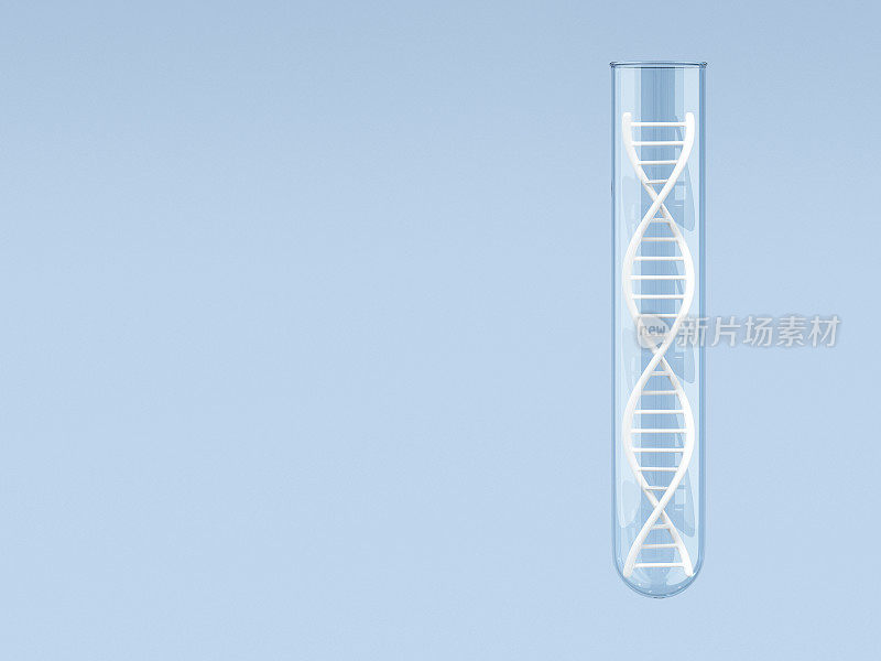 试管中的DNA