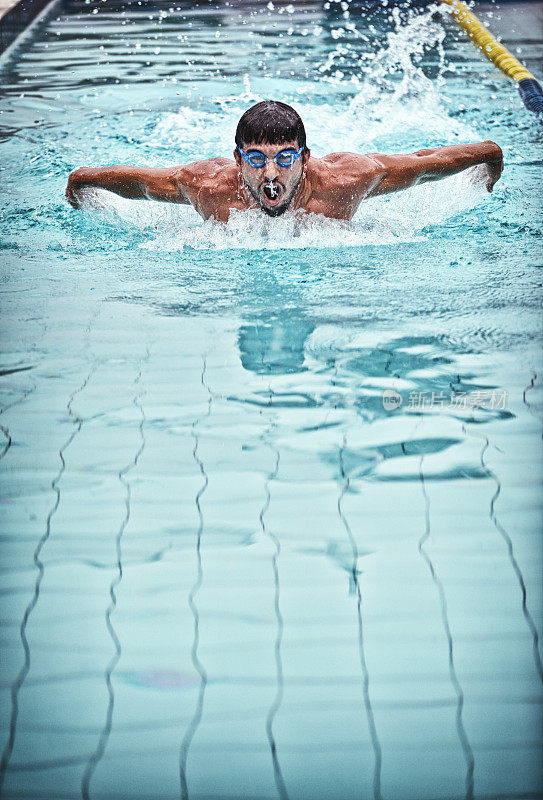 男子游泳比赛