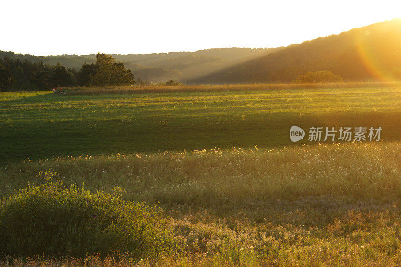 夏天山景观