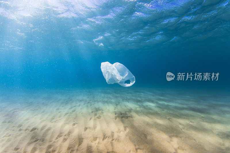 海洋中的塑料袋污染