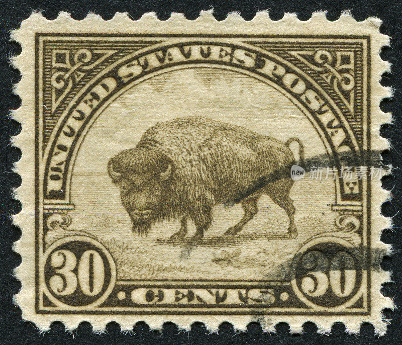 古董野牛邮票
