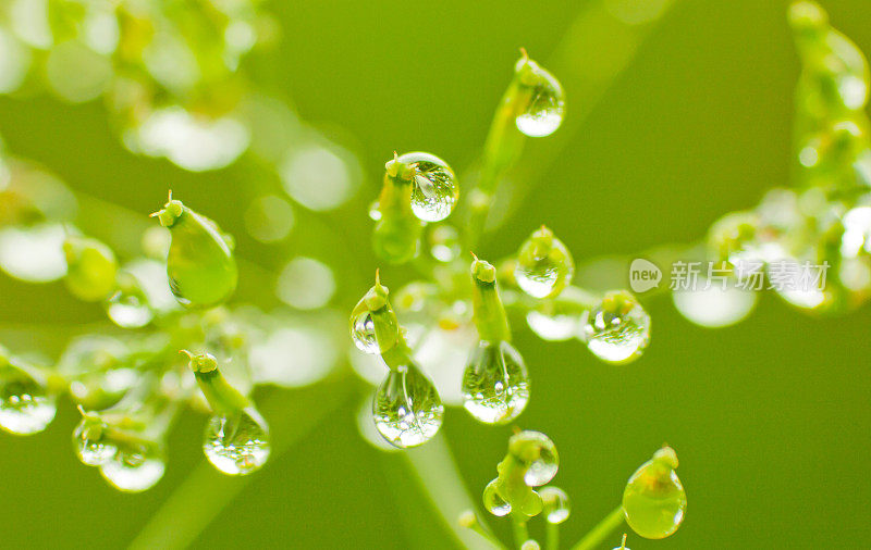 雨滴