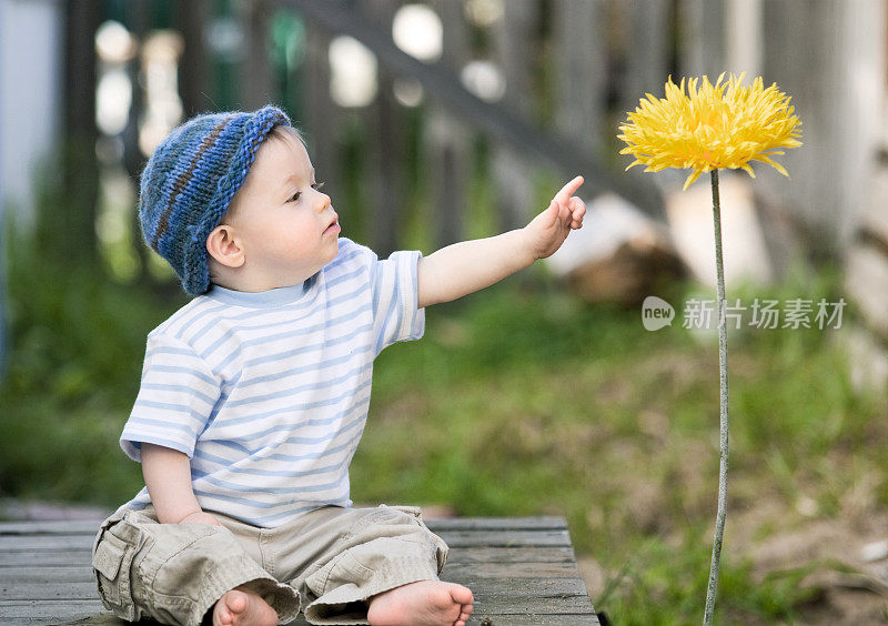 小男孩摸着一朵花