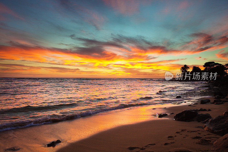 夏威夷考艾岛波伊普海滩上的日落西胡特棕榈树