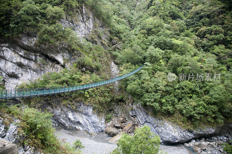 桥上树覆盖，雾山河，台湾