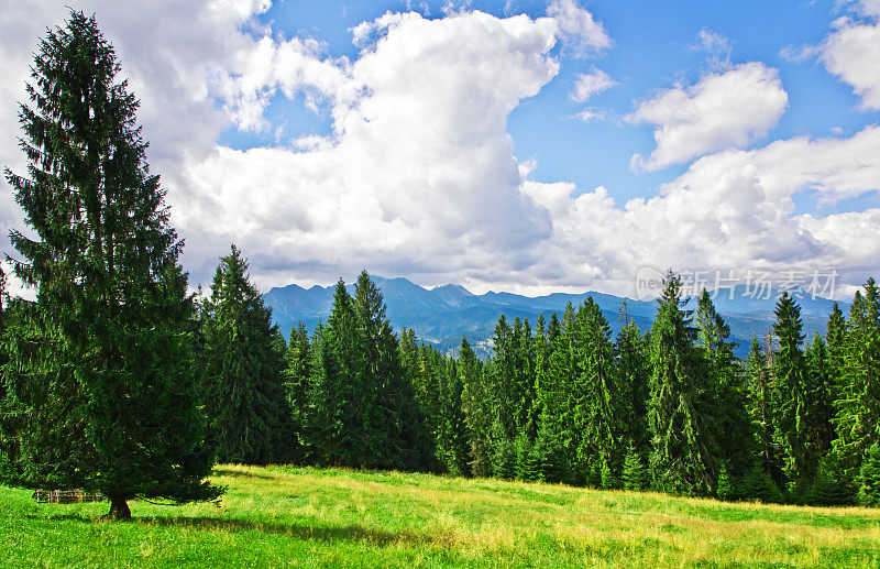 夏天山景观