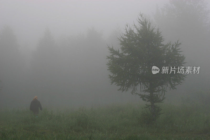 乡村的清晨