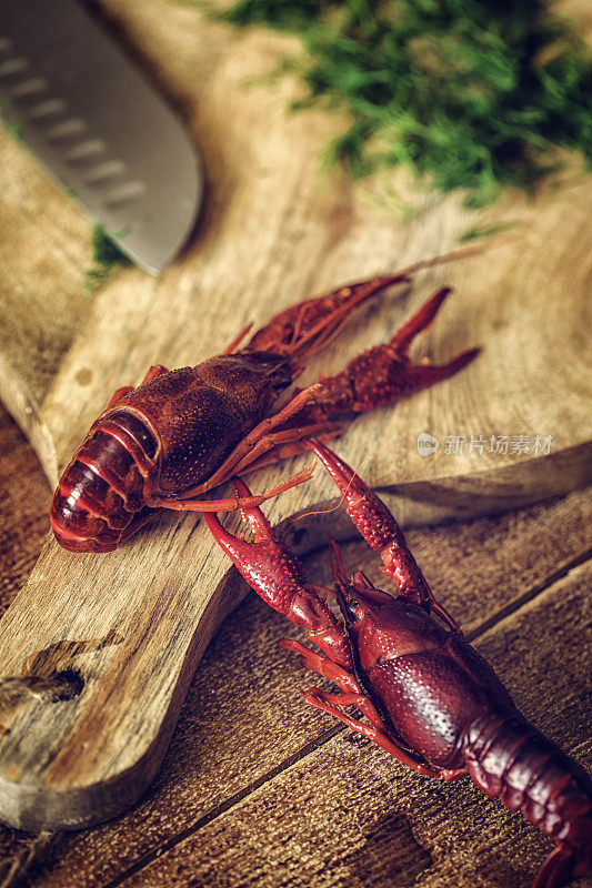 新鲜小茴香煮红螯虾