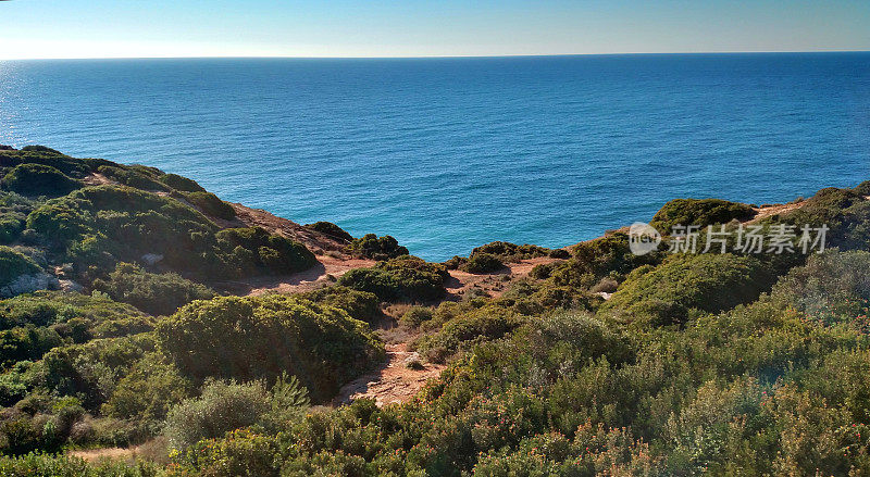 葡萄牙卡沃埃罗附近的阿尔加维海岸悬崖上的地中海灌木植被