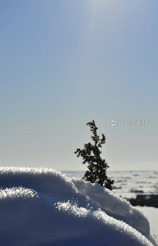 令人难以置信的雪花与蓝天和阳光的照片角度