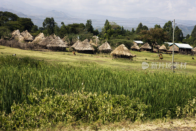 有玉米地的埃塞俄比亚南部村庄