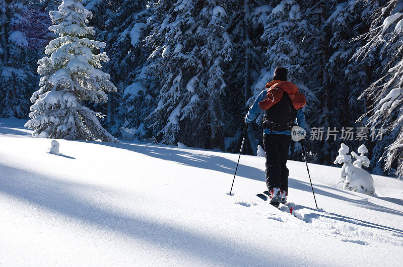 滑雪者在新雪山上滑雪旅游