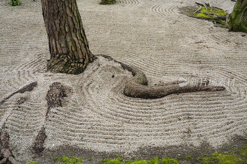 禅宗花园细节与根在春寺，京都，日本