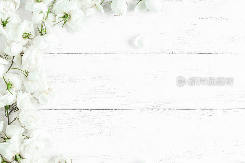 狗玫瑰花在白色木制背景，框架