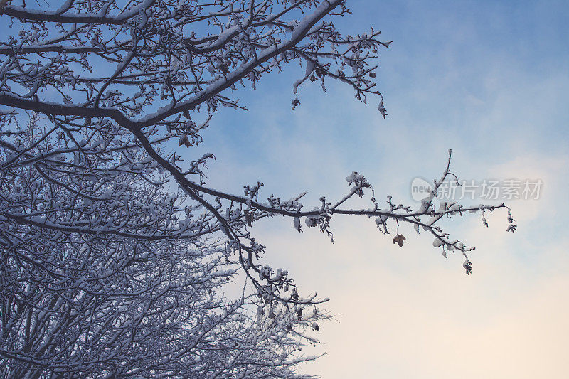 什罗浦郡雪场景