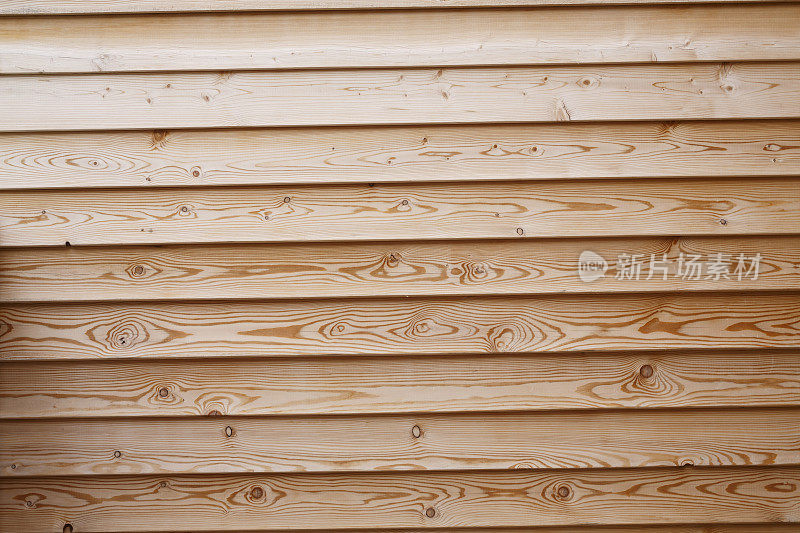 木材纹理的背景。古朴的松木墙。风化的打结松木。