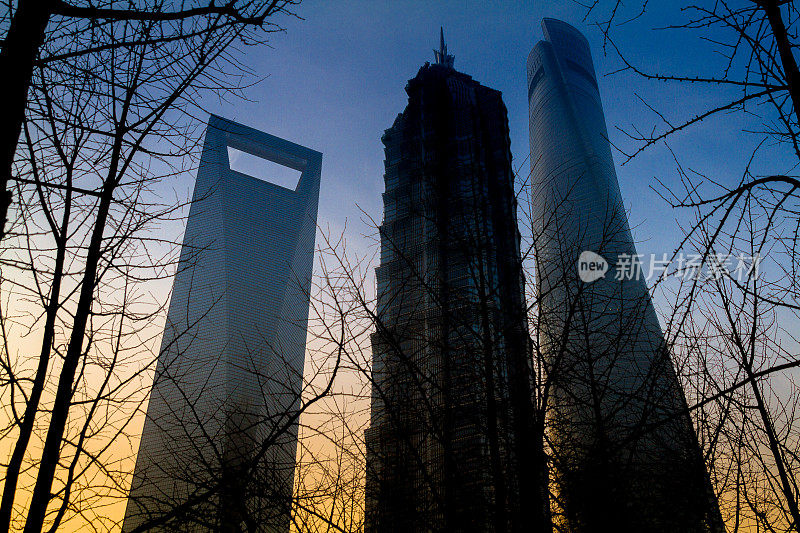 冬天的上海摩天大楼和树木