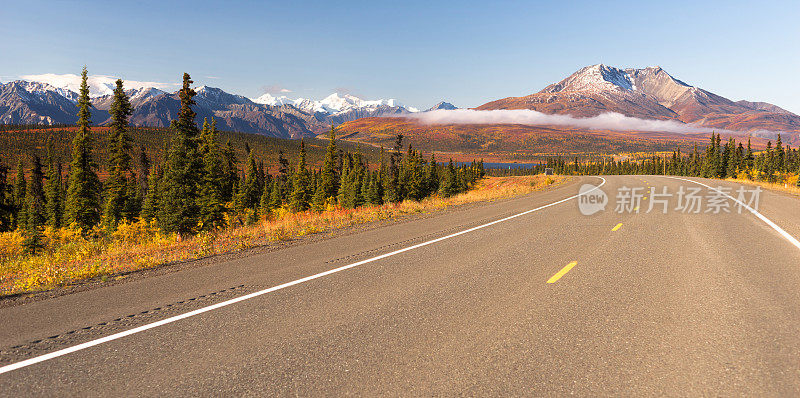 公路弯道荒野公路阿拉斯加山景观