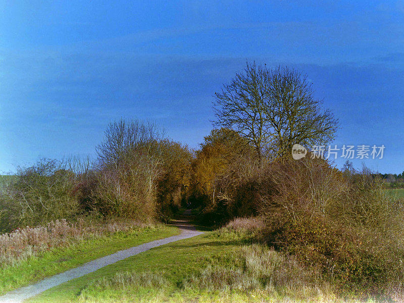 从小路上望去，穿过典型的英国乡村风景——绿树成荫的田园风光——在阳光明媚的日子里徒步行走风景郁郁葱葱