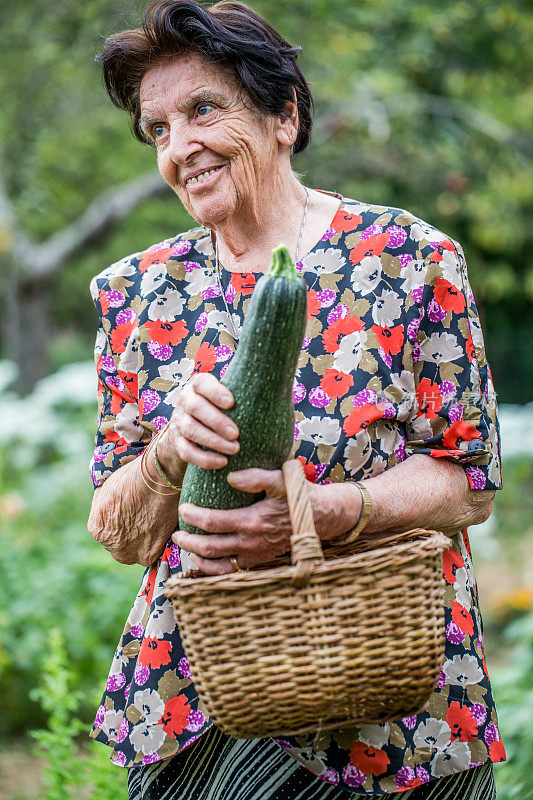 老女人在花园里拿着小胡瓜和木篮子