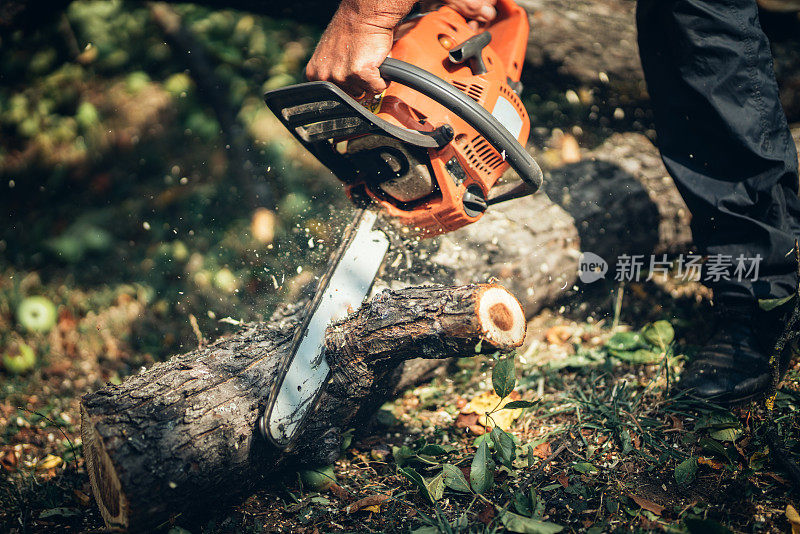 树干切割器、木材和木材切片。伐木的男林务员