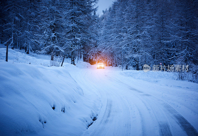在冬季森林里开车