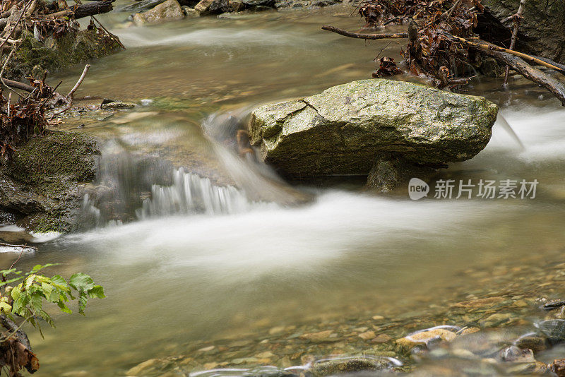 淡水森林小溪