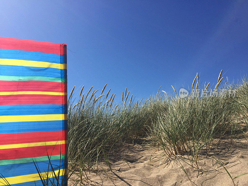 英国夏季海滩与典型的英国帆布防风林在欢快的颜色