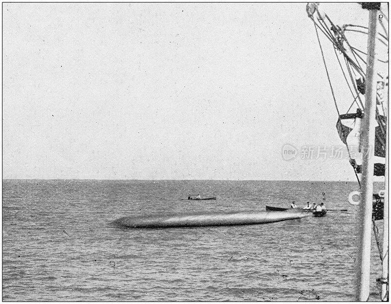 海军和陆军古董历史照片:鱼雷测试