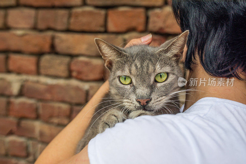 一个陌生的年轻女人抱着她的条纹猫