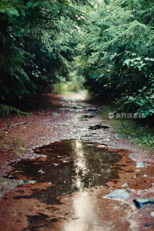 潮湿的徒步旅行路线