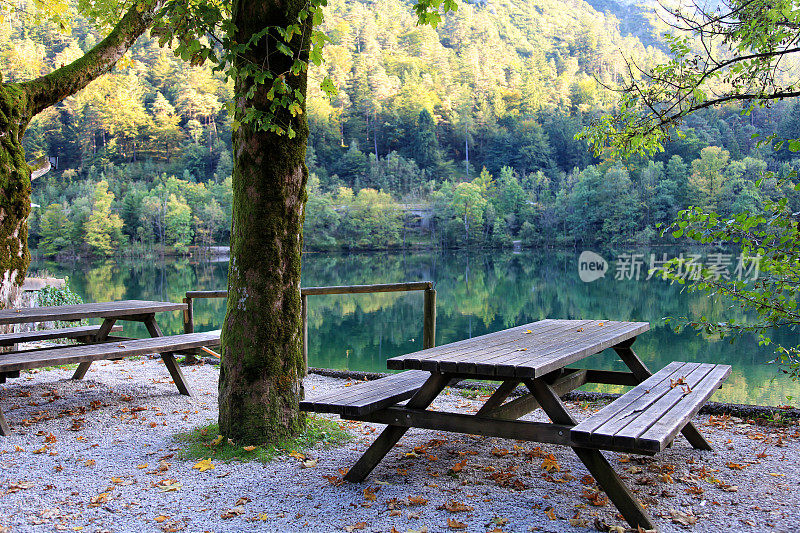 野餐桌和长凳在美丽的湖岸与森林的背景