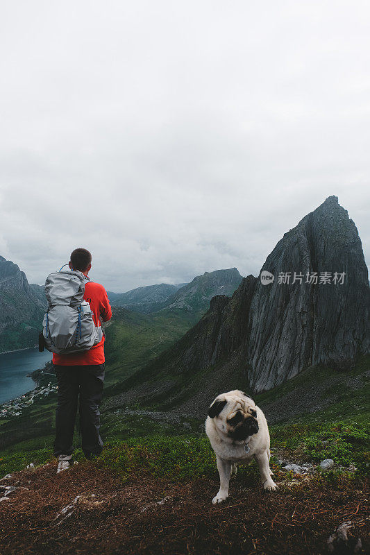 人们和狗在挪威北部的山上徒步旅行