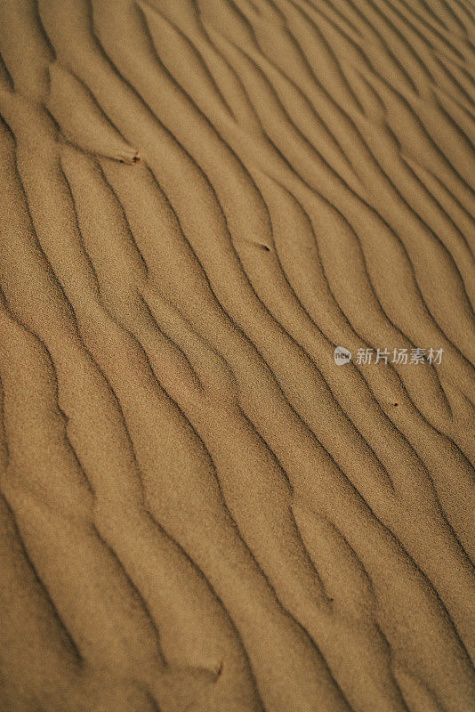 特写镜头砂背景