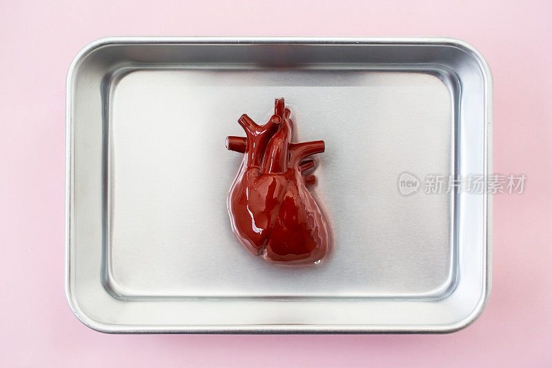 人的心脏放在金属板上