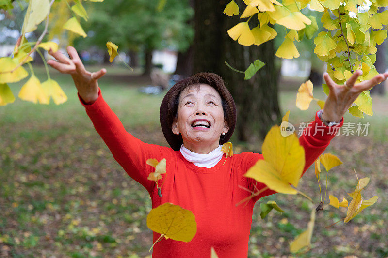 老年妇女享受秋天