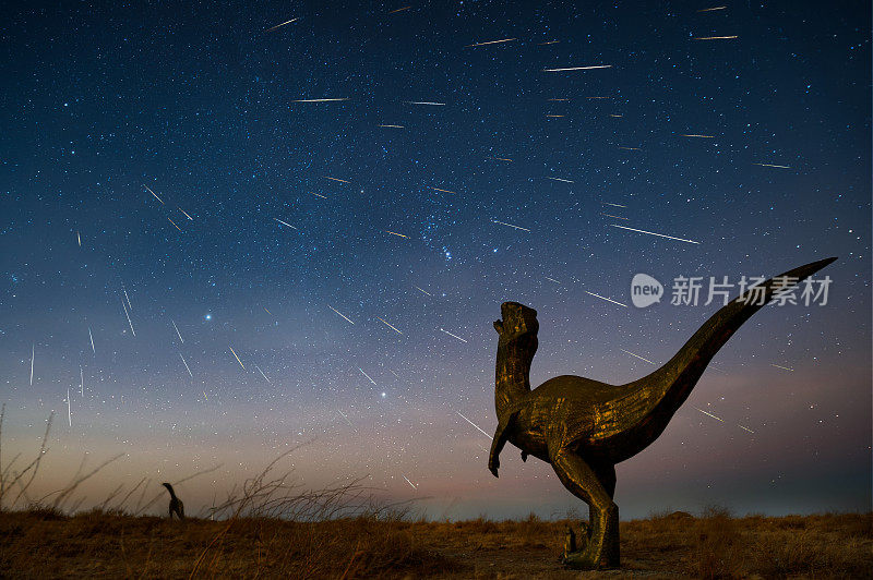 2018年双子座流星雨在内蒙古二连浩特上空掠过恐龙