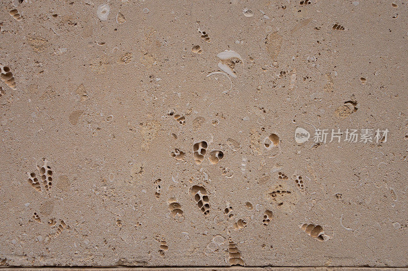 Coquina背景古老的化石。用砂岩建造积木。由沙子和贝壳制成的砖块质地粗糙。