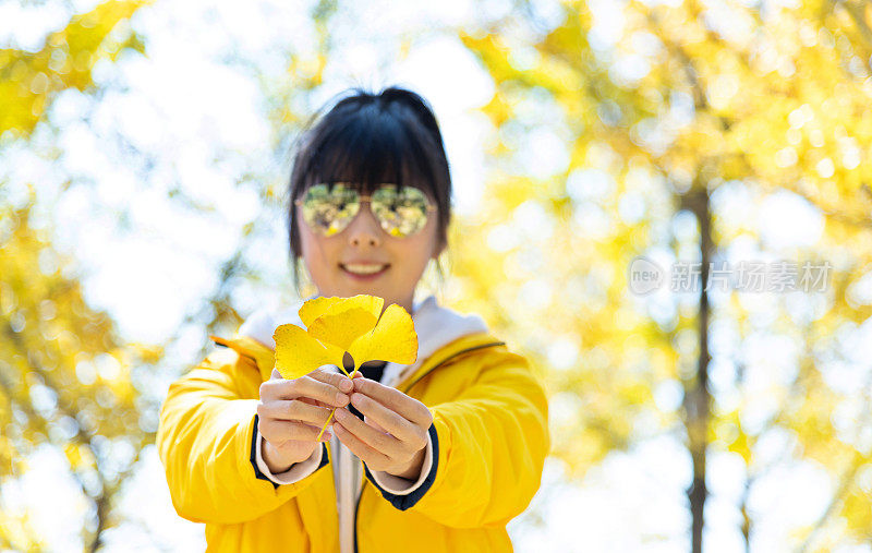 拿着一片黄色银杏叶的女人