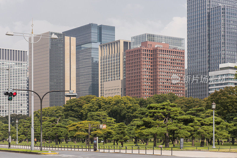 日本东京千代田区的公园和现代建筑群。
